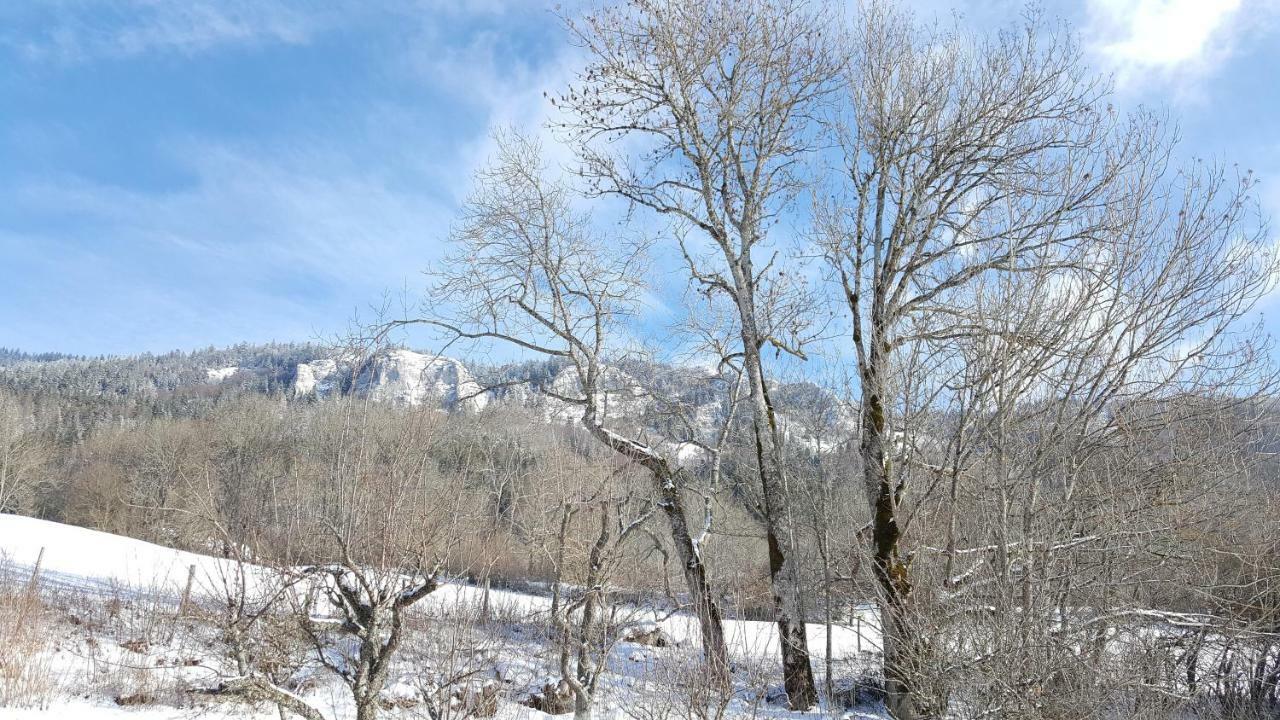 Maison D'Hotes Agathe Et Sophie Lans-en-Vercors Zewnętrze zdjęcie